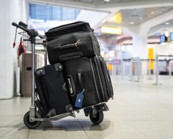 additional services luggage assistance